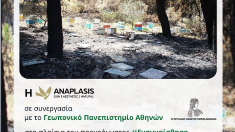 #Ενσυναίσθηση ANAPLASIS x Γεωπονικό Πανεπιστήμιο Αθηνών για τους πληγέντες μελισσοκόμους